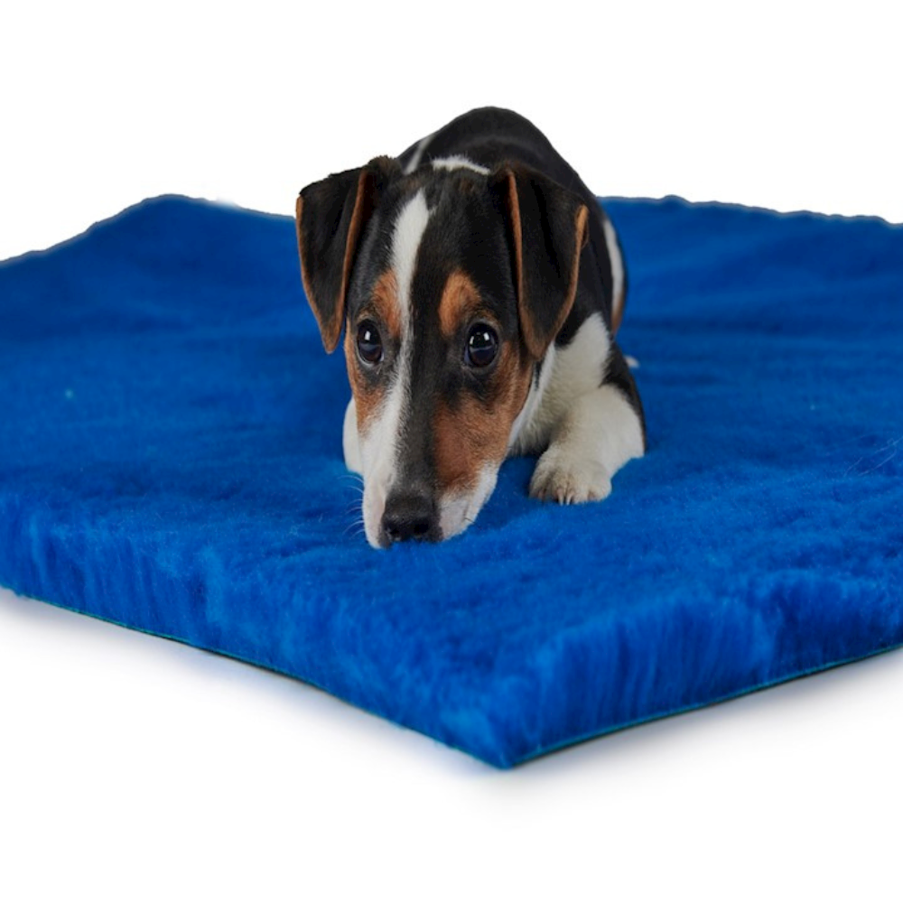 Traditional Vet Bedding - Royal Blue